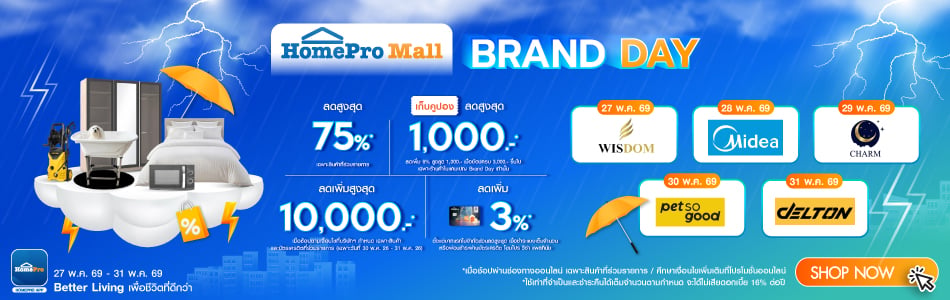 HomePro Mall Brand Day Promo 3