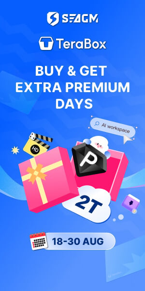 TeraBox Premium Subscription