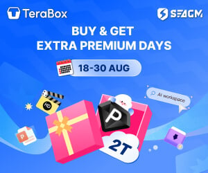 TeraBox Premium Subscription